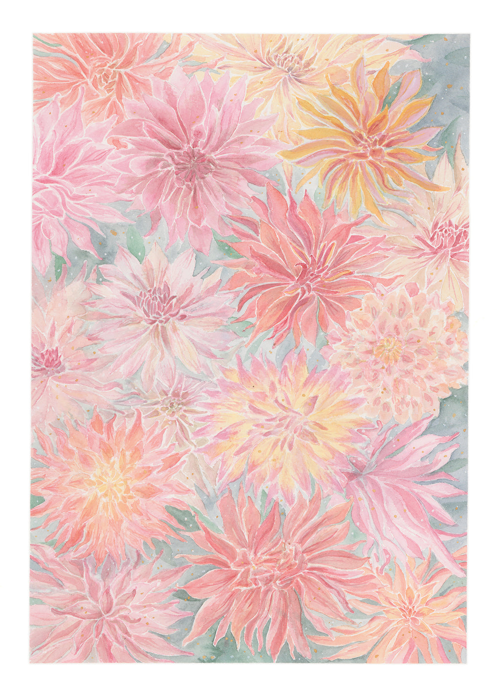 Dahlia
