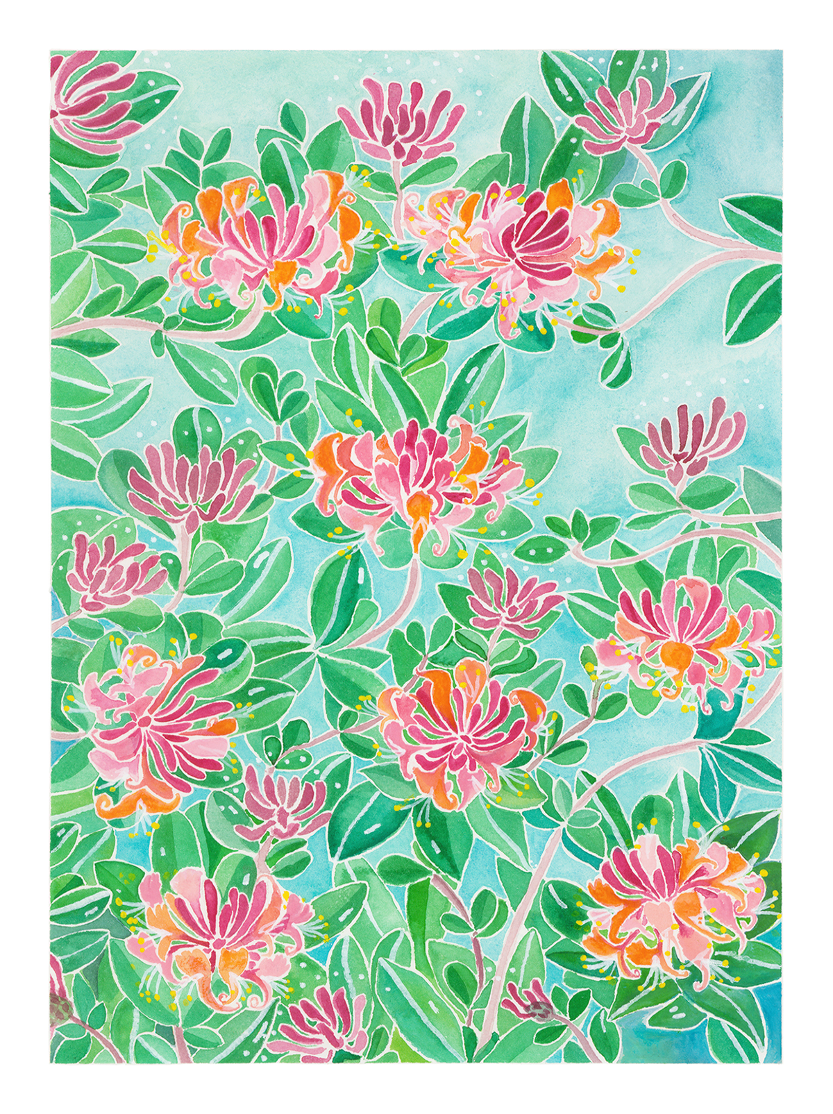Honeysuckle